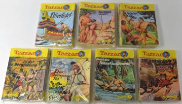 Tarzan König des Dschungels Großband - Nr.1-62 komplett, Z: 0-1 - Hethke Verlag