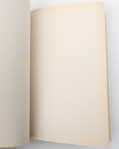 LTB Lustiges Taschenbuch VERLAGSMUSTER für neues Papier Enten-Edition 4+5